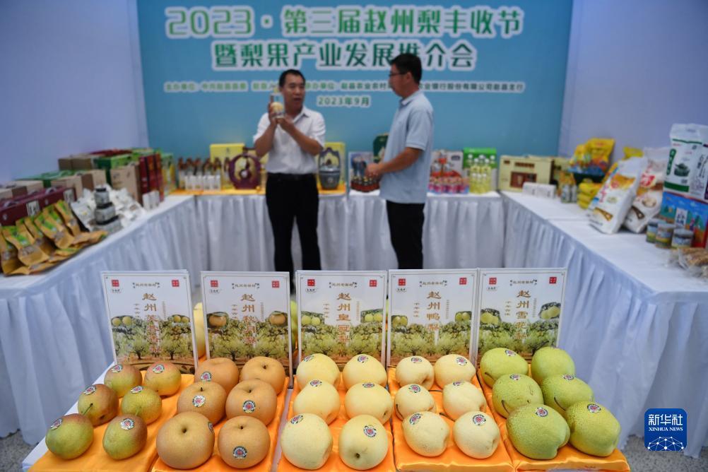 威尼斯v36 com游戏